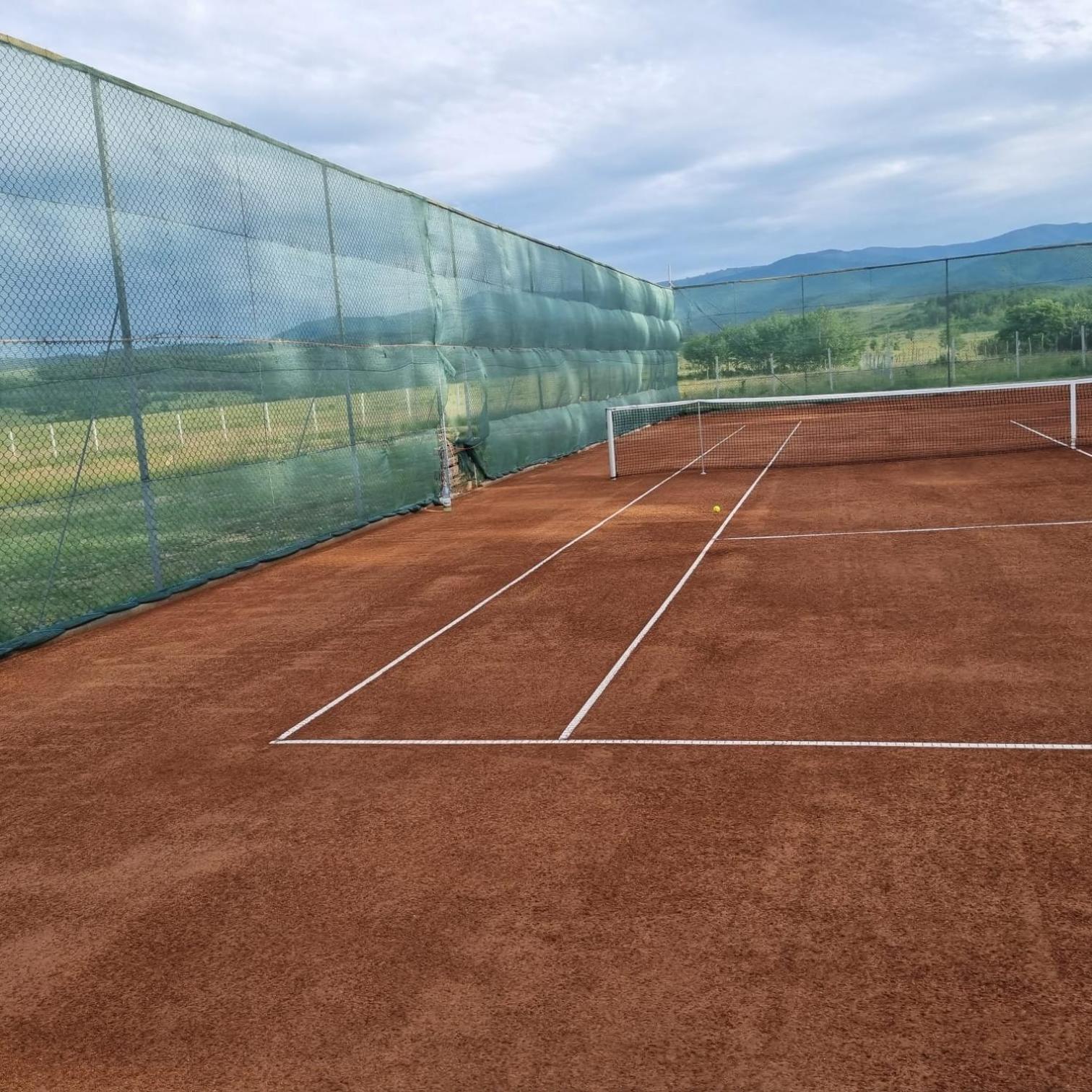 Pensiune Confort Morosanu Sinca Veche Exterior foto