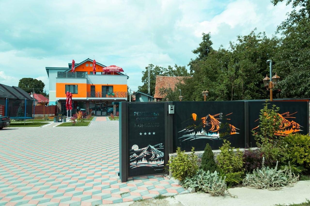 Pensiune Confort Morosanu Sinca Veche Exterior foto